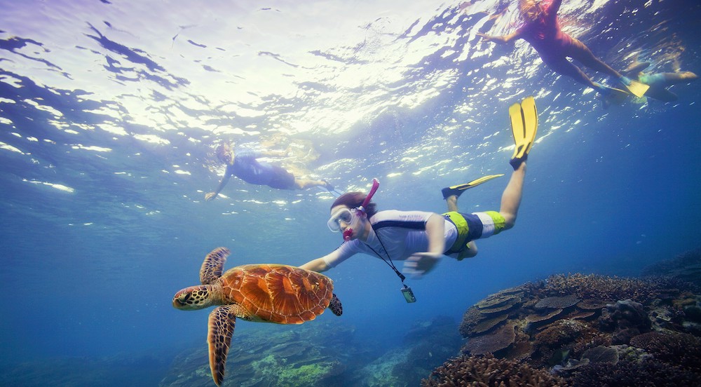 Snorkelling, Great Barrier Reef, QLD