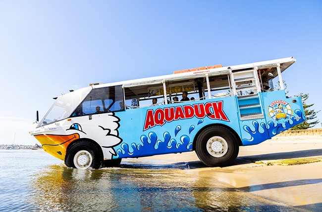 aquaduck